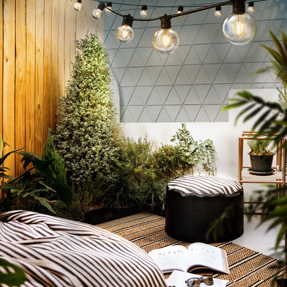 Jingle Jollys 50m LED Festoon String Lights – 50 Bulb Kit for Party, Wedding & Christmas (G80)