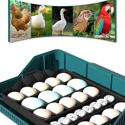 Braneit™ Digital Led Fully Automatic 25 Egg Incubator Hatch Turning Chicken Eggs Poultry