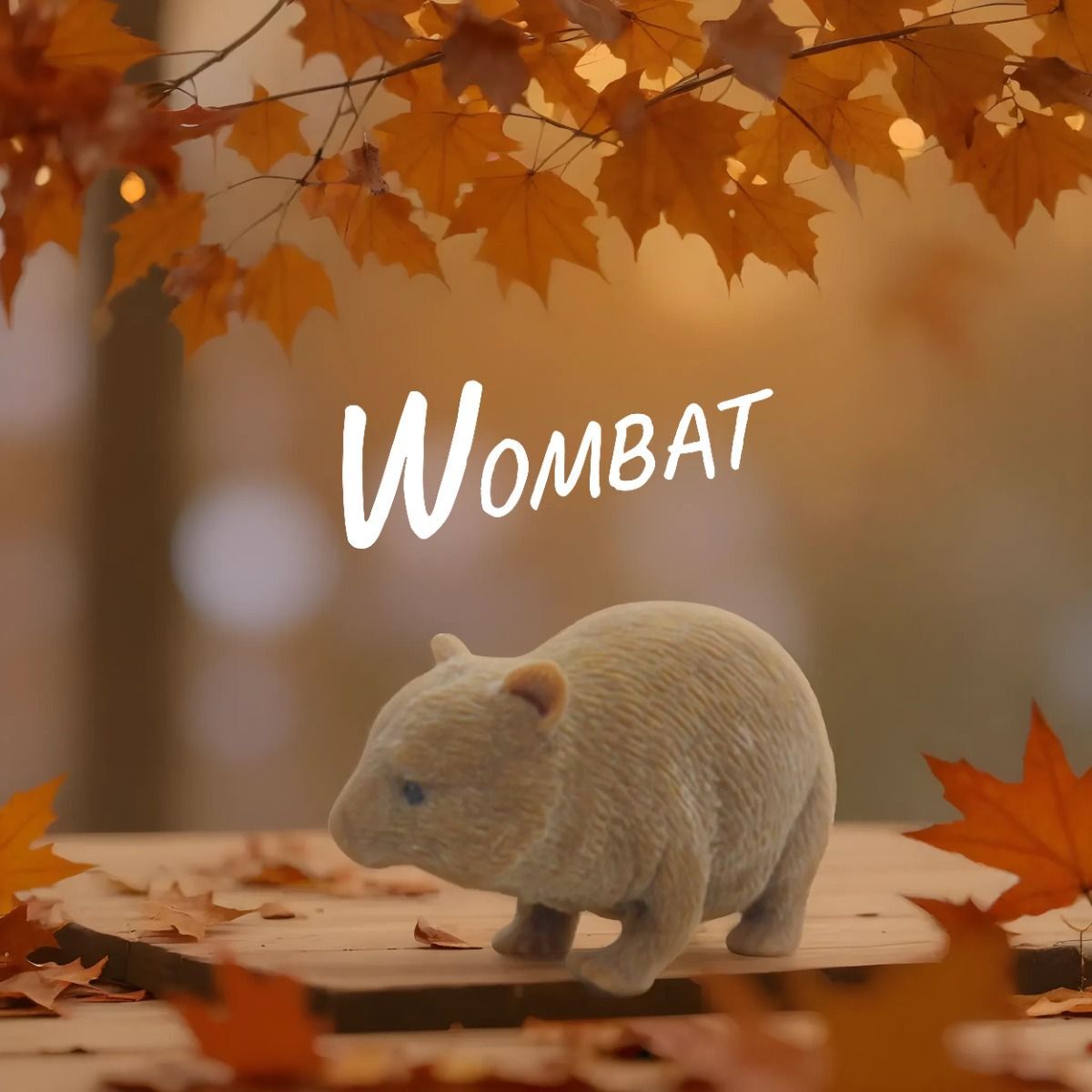 Stretchy Squishy Australian Wildlife Gift Set – Sensory Animal Toys for Kids