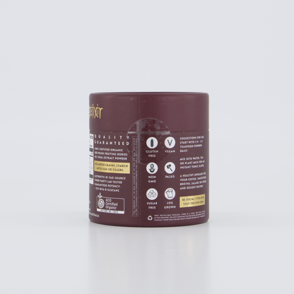 Teelixir Organic Reishi Mushroom 1Kg